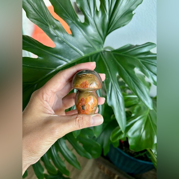 Polychrome Jasper Mushroom - Picture 4 of 5